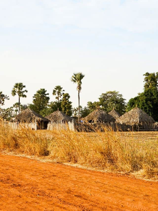 PHOTO 2026 01 05 11 00 05